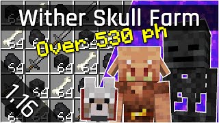 Wither Skeleton Skull Farms with Portals Tutorial  Minecraft Java 116 The Nether Update [upl. by Aikemet509]