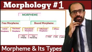 Morphology Part 1  Morpheme amp Its Types Morpheme Vs Morph  Linguistics  Muhammad Tayyab [upl. by Jolynn]