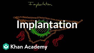 Implantation  Behavior  MCAT  Khan Academy [upl. by Nona]