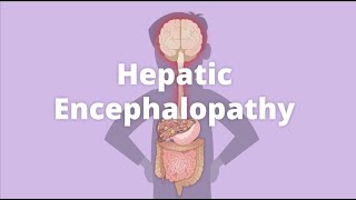 Hepatic Encephalopathy Origin Symptoms amp Diagnosis [upl. by Nazar]