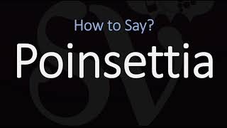 How to Pronounce Poinsettia CORRECTLY [upl. by Ybbed]