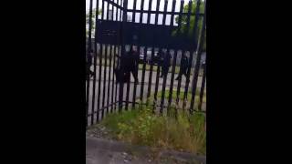 Irish Travellers vs Bailiffs riot [upl. by Blakelee]