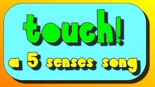 Touch A Five Senses Song [upl. by Brigitte]