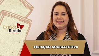 Explica Direito Filiação Socioafetiva  2019 [upl. by Elumas]