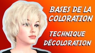 DÉCOLORATION DES CHEVEUX ✿ TECHNIQUE DE COLORATION PROFESSIONNELLE ✿ [upl. by Relyhs]