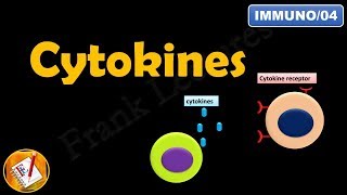 CYTOKINES  ILs INFs TNFs CSFs and Chemokines FLImmuno04 [upl. by Anialahs]