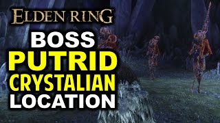 Putrid Crystalian Boss Location  Elden Ring [upl. by Alihet]