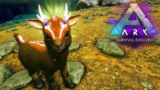 ARK ABERRATION 23  UM ÉPICO SHINEHORN QUE BRILHA [upl. by Damales706]