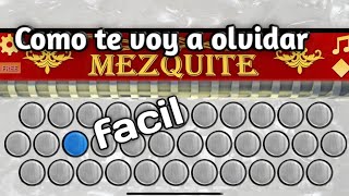 CÓMO TE VOY A OLVIDAR💖  Los Ángeles azules ACORDEÓN MEZQUITE📱 tutorial FÁCIL [upl. by Idieh]