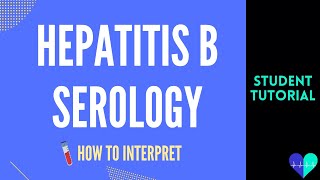 Hepatitis A and B [upl. by Sholes794]