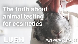 The Truth About Animal Testing for Cosmetics BeCrueltyFree [upl. by Kcirddahc]