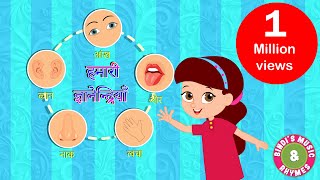 Five Senses Song  Educational Rhymes  Kids Songs  Bindis Music amp Rhymes [upl. by Vivia945]