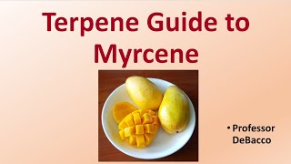 Terpene Guide to Myrcene [upl. by Aitram651]