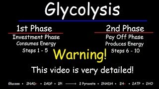 Glycolysis  Biochemistry [upl. by Suoivatnod]