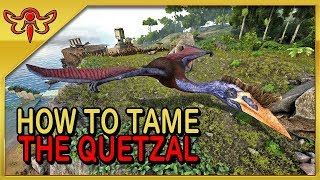 ARK Survival Evolved Tutorial  How to Solo Tame the Quetzal [upl. by Eenafets]