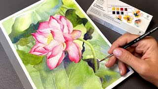 Lotus 🌸 Beginner Tutorial with Cotman Watercolors [upl. by Maddie366]