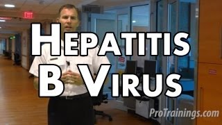 Hepatitis B Virus Treatment Guidelines Serology Symptoms Acute amp Chronic Medicine Lecture USMLE [upl. by Martita825]