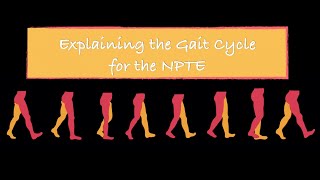 Explaining the Gait Cycle for the NPTE [upl. by Eornom]