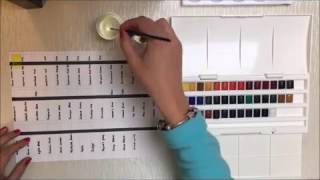 COLOUR CHART  Cotman water colours  Winsor amp Newton [upl. by Sherar778]