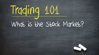 Trading 101 What is the Stock Market [upl. by Zorah]