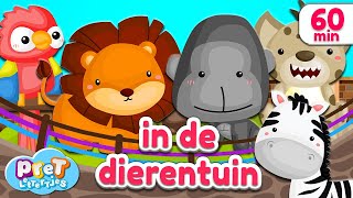 Pretlettertjes • Dierengeluiden in de Dierentuin • 60 min Special [upl. by Idnim520]