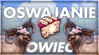 Jak Oswoić OwcęOvis  ArkSurvival Evolved Poradnik [upl. by Farro]