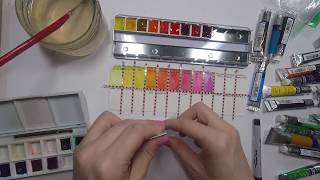 Setting Up a New Watercolor Palette  Winsor Newton Cotman Colors [upl. by Chap]