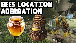 BEE HIVE AND HONEY LOCATION IN ABERRATION Ark Survival Evolved [upl. by Awuhsoj]