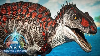 How to TAME a ACROCANTHOSAURUS  ARK Ascended [upl. by Noissap]