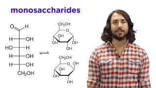 Carbohydrates Part 1 Simple Sugars and Fischer Projections [upl. by Kurtis]