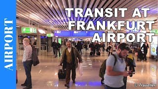 TRANSIT WALK AT FRANKFURT Airport FRA Terminal 1  Connection Flight Transfer Arriving amp Departing [upl. by Erreip]