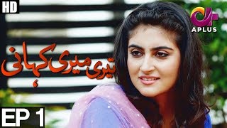 Teri Meri Kahani  EP 1  Aplus  Agha Ali Hiba Qadir Fahad Rehmani  C8A1 [upl. by Mallorie]