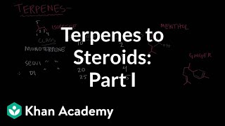 From terpenes to steroids part 1 Terpenes  Endocrine system physiology  NCLEXRN  Khan Academy [upl. by Chapen]